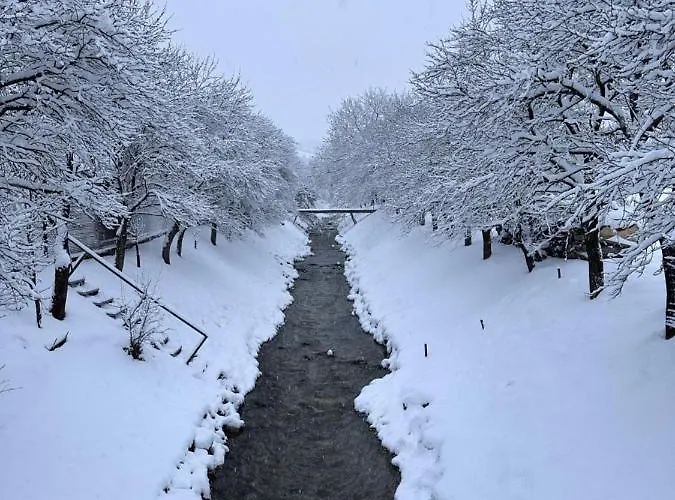 בית נופש Village Light House *